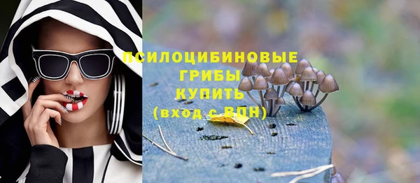 прущий лед Нефтегорск