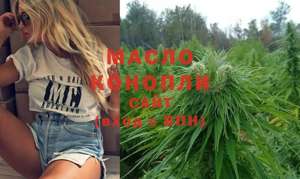индика Навашино