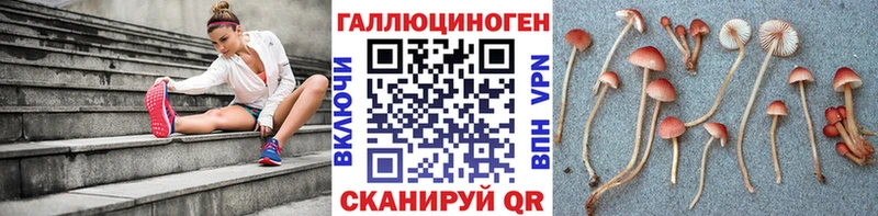 OMG   Макушино  Галлюциногенные грибы мухоморы 